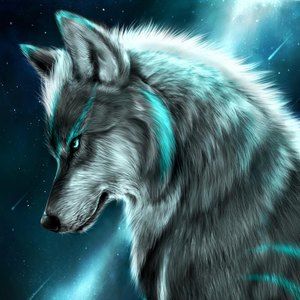 Meet your Posher, Jorge